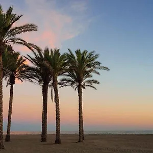 Buganvilla Roquetas de Mar